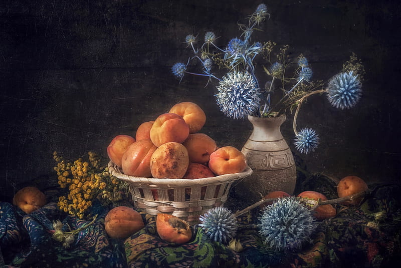 graphy, Still Life, Apricot, Fruit, HD wallpaper