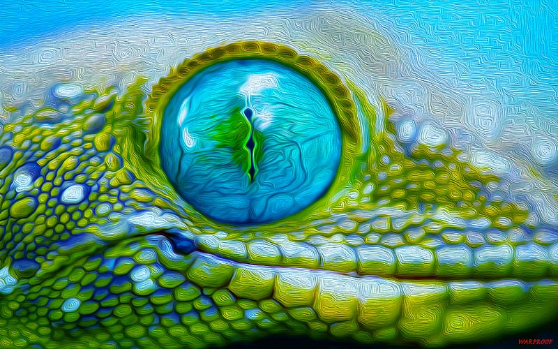 Animal, Reptiles, Gecko, HD wallpaper