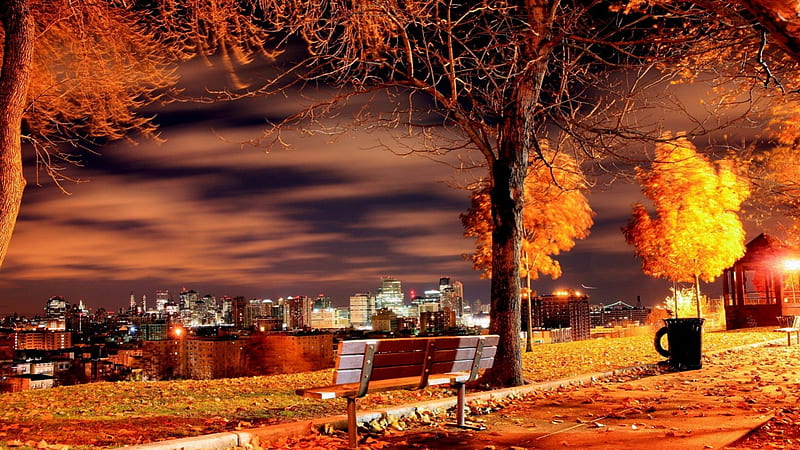 View from a park above nyc on an autumn night, autumn, city, bench ...