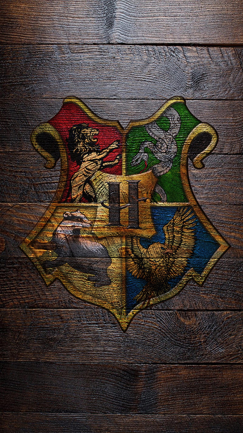 HP, grifondoro, harry potter, hogwarts, serpeverde, HD phone wallpaper