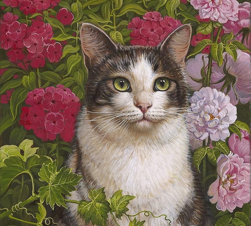 Masha in the Phlox, pisici, cat, yana movchan, art, phlox, flower, HD wallpaper