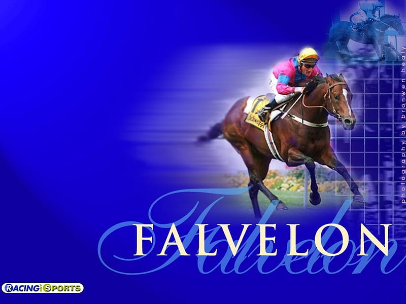 Falvelon, Horses, blue, animals, race horse, HD wallpaper