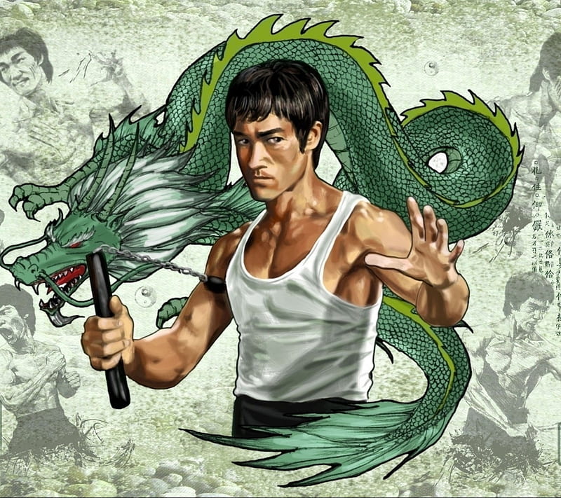 Birth of the Dragon, 929, birth of the, bruce, jeet kune do, kung fu, lee,  mma, HD phone wallpaper | Peakpx