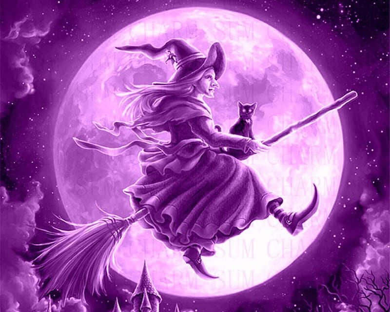 Flying Witch, halloween, witches, love four seasons, sky, holiday, cat, broom, moon, paintings, purple, HD wallpaper