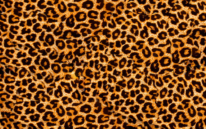 leopard skin texture macro, brown blots texture, leopard skin, leopard background, leopard wool, leopard leather background, HD wallpaper