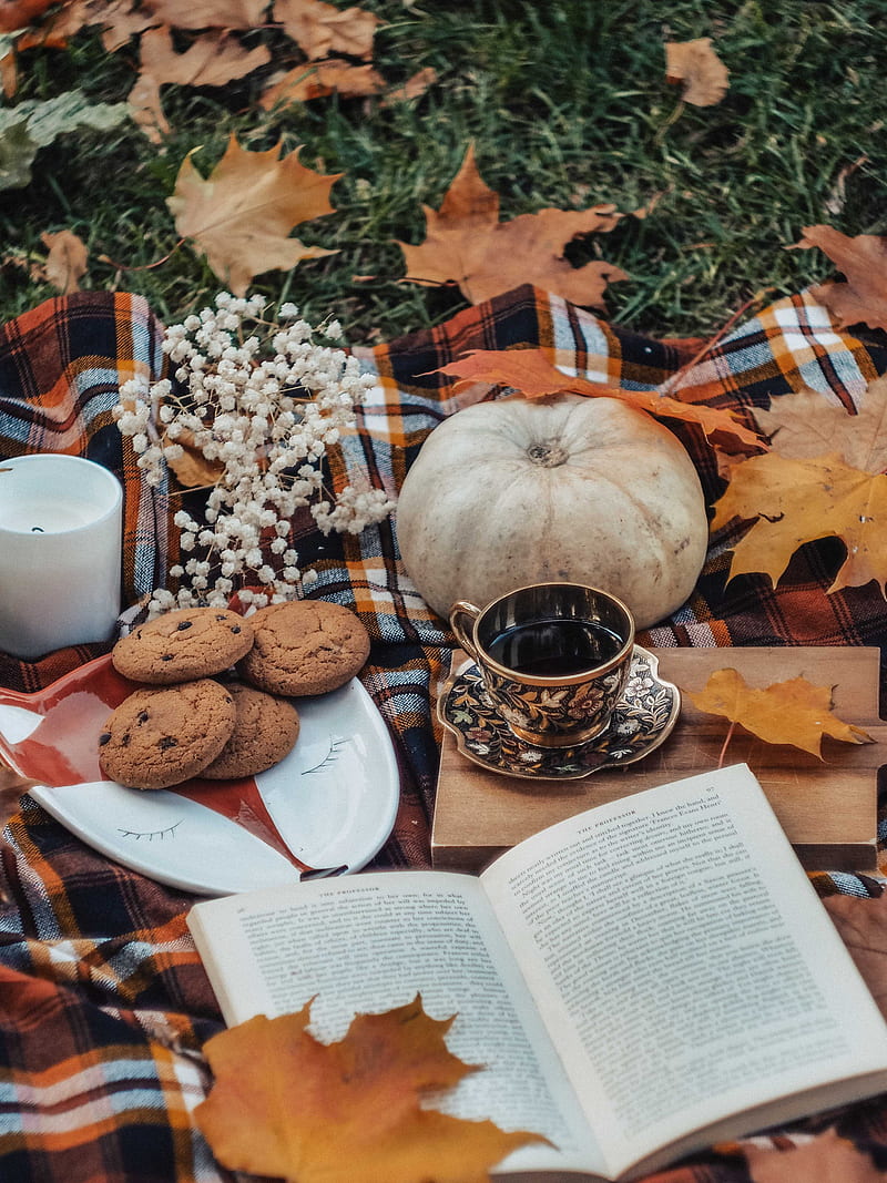tea, book, autumn, cookies, leaves, pumpkin, HD phone wallpaper