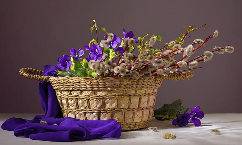 Spring basket, spring, still life, twigs, graphy, purple, abstarct, basket, flori, catkins, HD wallpaper
