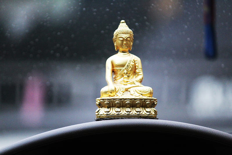 Gautama Buddha, buddha, gold, lord, god, HD wallpaper
