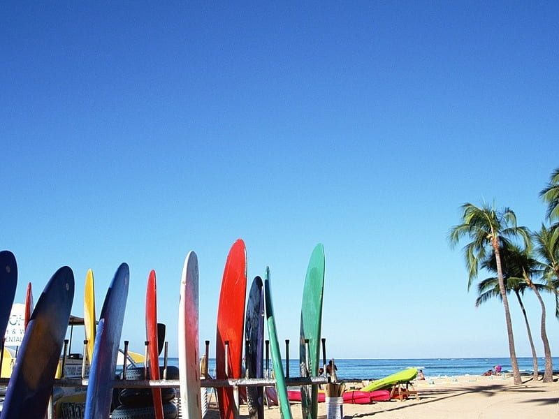 water ski board, sand, water, rd, green, colors, sky, palm trees, blue, HD wallpaper