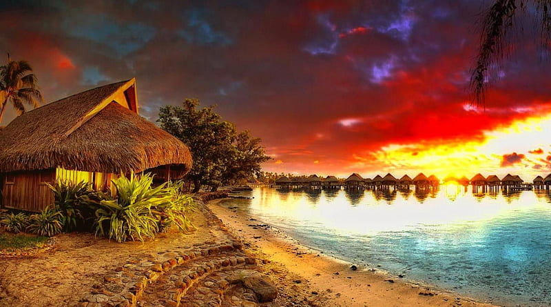 bungalows resort on moorea on a wondrous sunset, shore, bungalows, colors, sunset, sea, palms, HD wallpaper