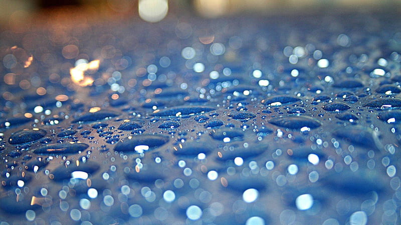 Closeup View Of Rain Drops In Blur Bokeh Background Rain, HD wallpaper