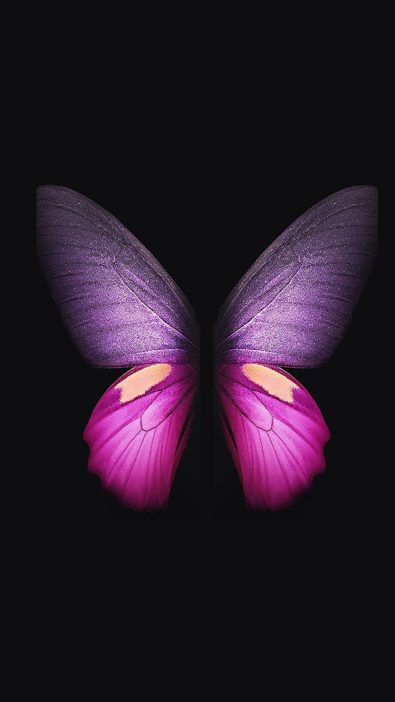 Butterfly Pink Iphone Hd Phone Wallpaper Peakpx