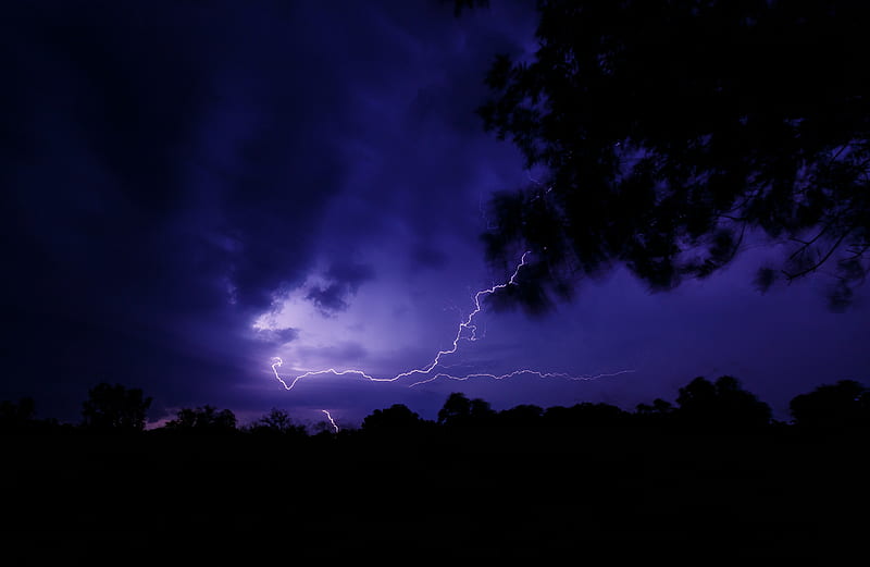 lightning, thunderstorm, branch, bushes, HD wallpaper