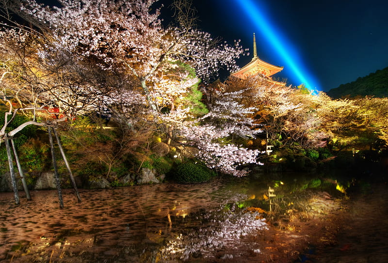 Beautiful Garden, architecture, pretty, colorful, grass, bonito, lights, japan, splendor, green, temple, flowers, beauty, reflection, night, lovely, view, colors, sky, trees, lake, tree, peaceful, garden, nature, HD wallpaper