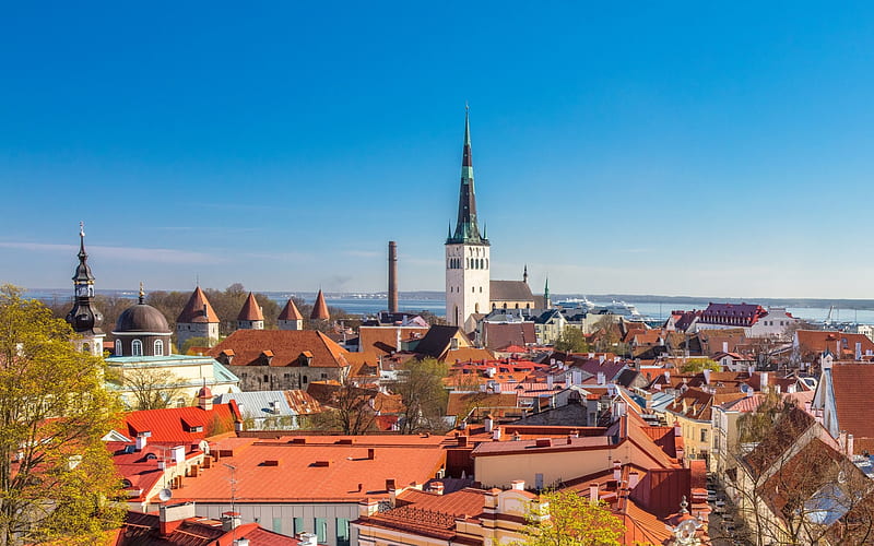 Tallinn, Vanalinn, Toompea, summer, cityscape, capital of Republic of Estonia, Baltic Sea, coast, Estonia, HD wallpaper