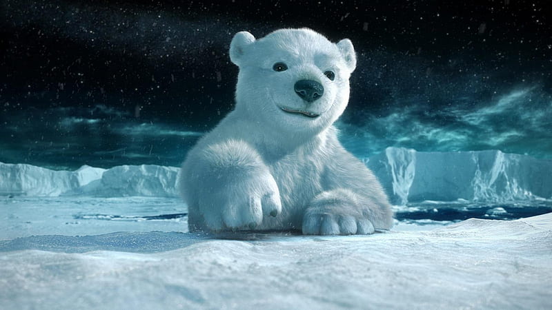 cool bear, bear, cub, ice, snow, HD wallpaper