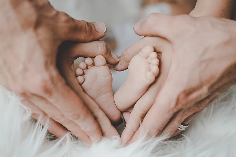 Person Holding Baby's Feet, HD wallpaper