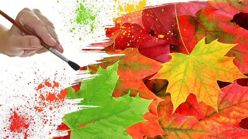 Painting Autumn Colors, colorful, fall, autumn, paint, orange, maple, splatter, colors, paintbrush, leaves, gold, whimsical, green, hand, oak, HD wallpaper