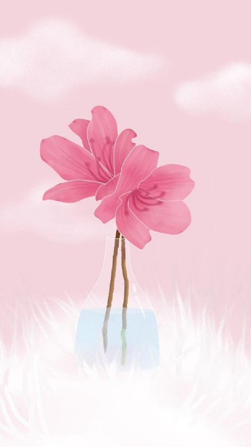 Flowers Pink Hd Phone Wallpaper Peakpx
