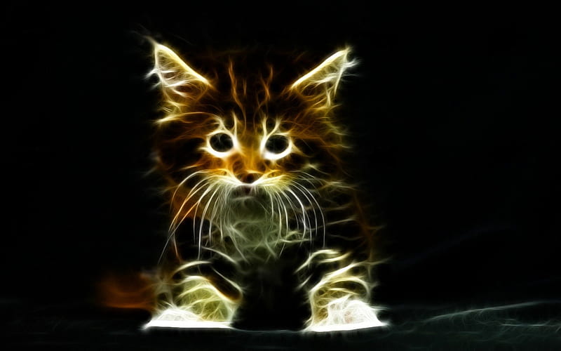Little Kitten-Fractalized, fractal, cat, kitten, cats, animals, HD ...