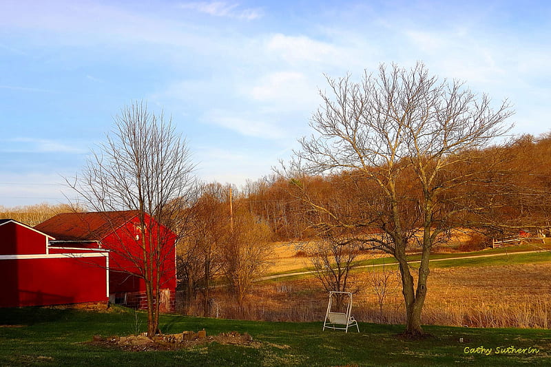 Lovely Spring Evening on the Farm, architecture, grass, shed, country, sky, farm, tree, swing, nature, branches, field, HD wallpaper