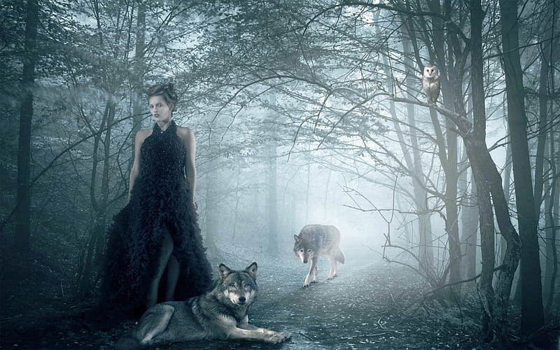 She Dark Forest With Wolves, Forest, Steampunk, Brunette, Woman, Tree, Sisters, Wolves, HD wallpaper