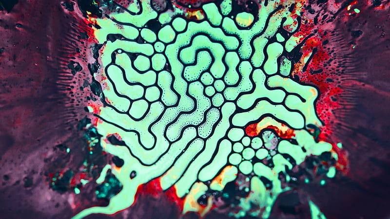 geometric, close-up, bacteria, microscopic, Abstract, HD wallpaper