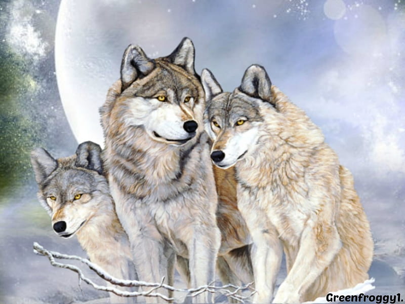 THREE WOLVES, THREE, WOLVES, ABSTRACT, HD wallpaper | Peakpx
