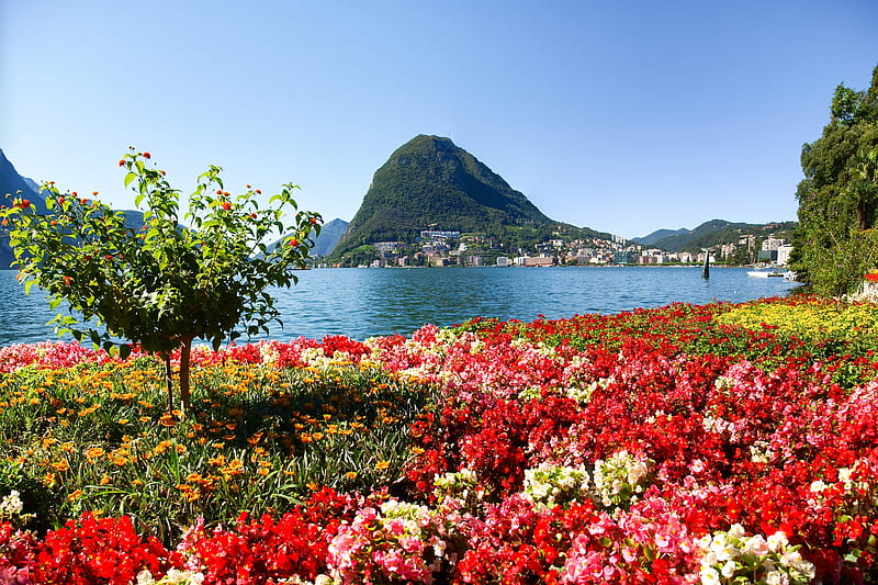 Monte San Salvatore, Italy, summer, flowers, bonito, park, spring, lake, view, Lugano, mountain, HD wallpaper
