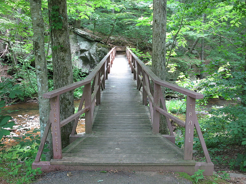 Bridge At Little Otter Creek Trail, brige, parkway, blue ridge parkway, little otter creek, va, otter creek, HD wallpaper