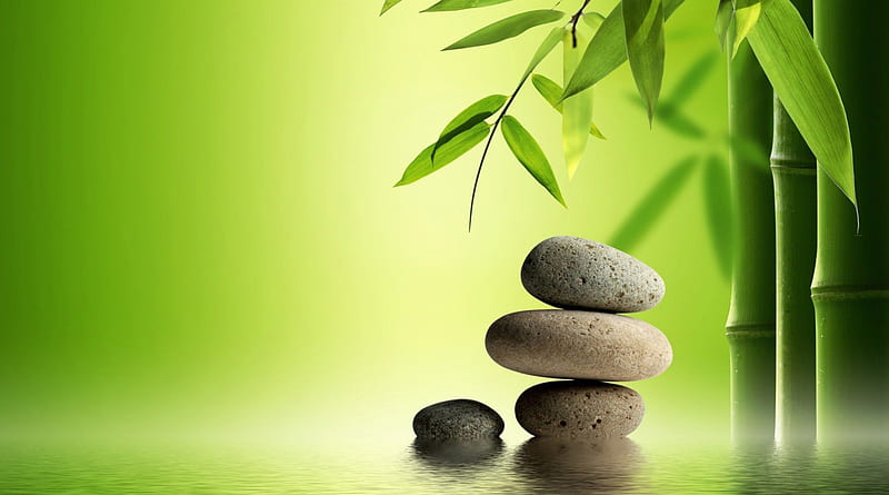 Bamboo and Stones, Plants, Stones, Bamboo, Nature, HD wallpaper