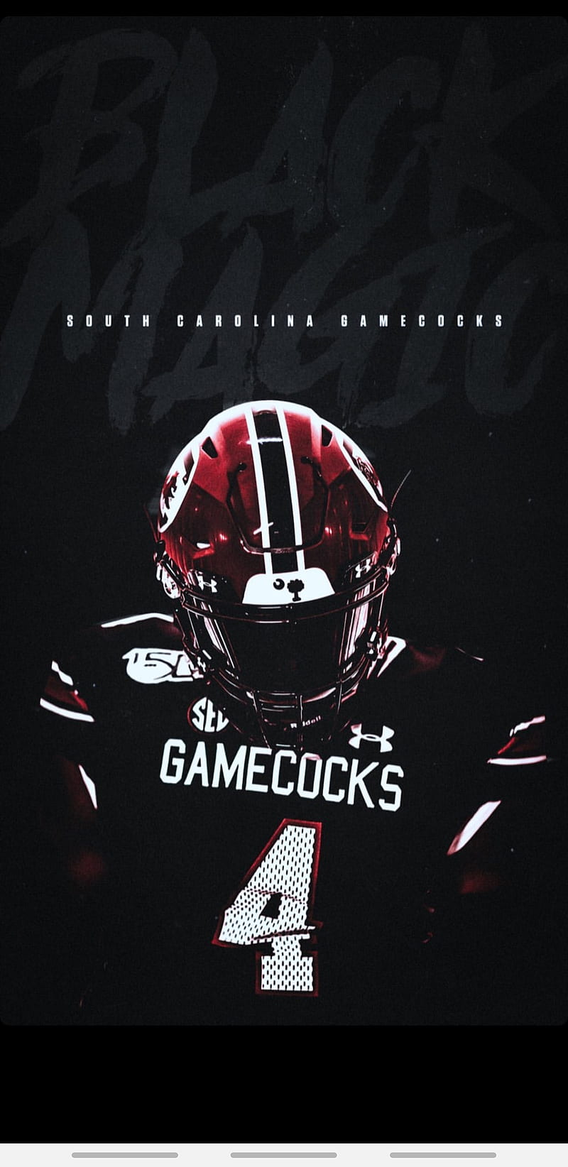 Gamecock Wallpaper 64 pictures