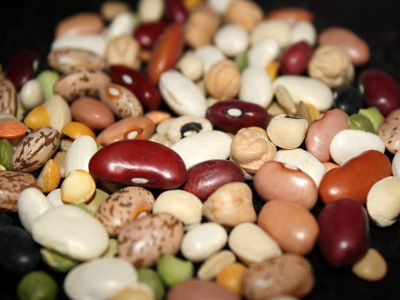Beans, Seed, Bean, Food, HD wallpaper