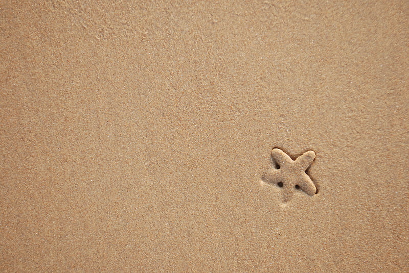 starfish, sand, beach, texture, HD wallpaper