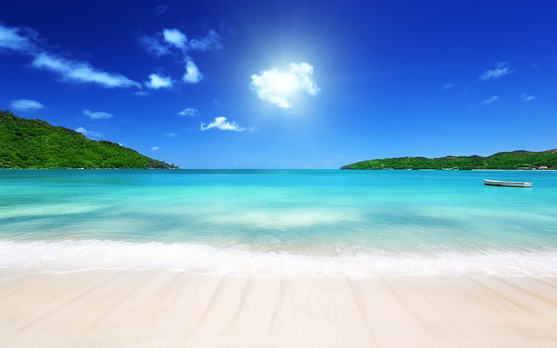 beach, sea, tropical island, palm trees, summer, summer vacation, HD wallpaper
