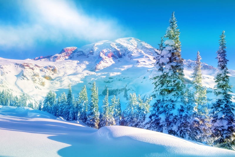 Winter Rainbow, Rainbow, Scenery, Washington, Mountain, Winter, Landscape, Trees, Snow, Snowflakes, HD wallpaper