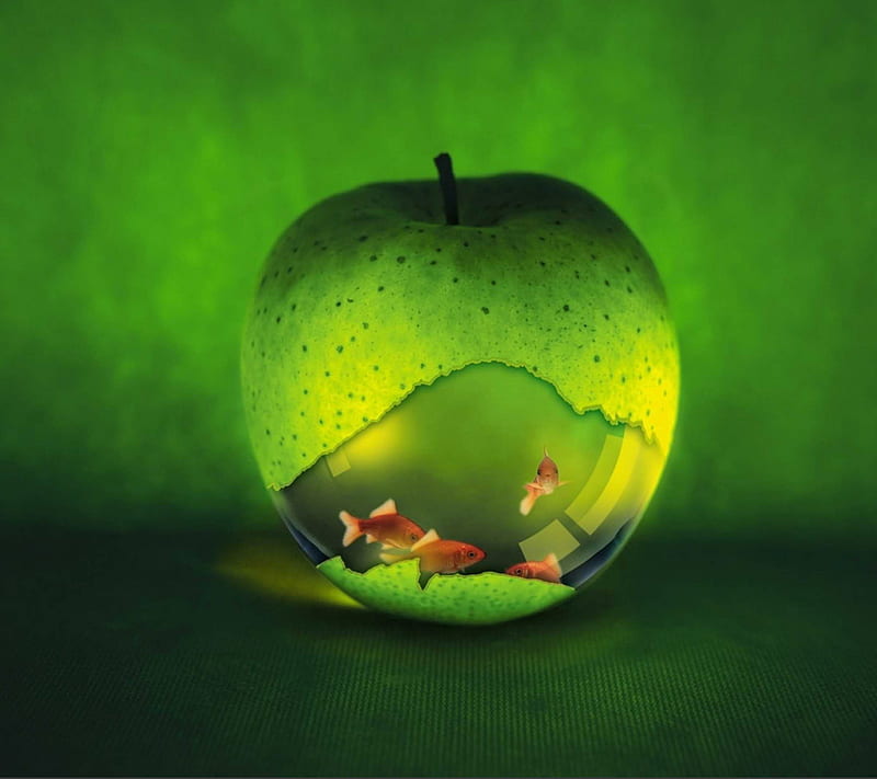 Aquarium, apple, fish, green, HD wallpaper