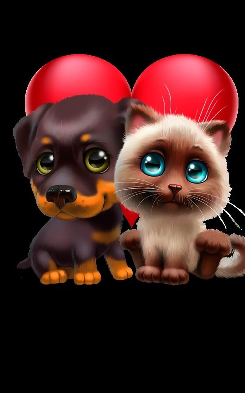 Sb-33 baby dog cat, 2021, cartoons, cats, cute, gente, kitten, kittens,  new, HD phone wallpaper | Peakpx