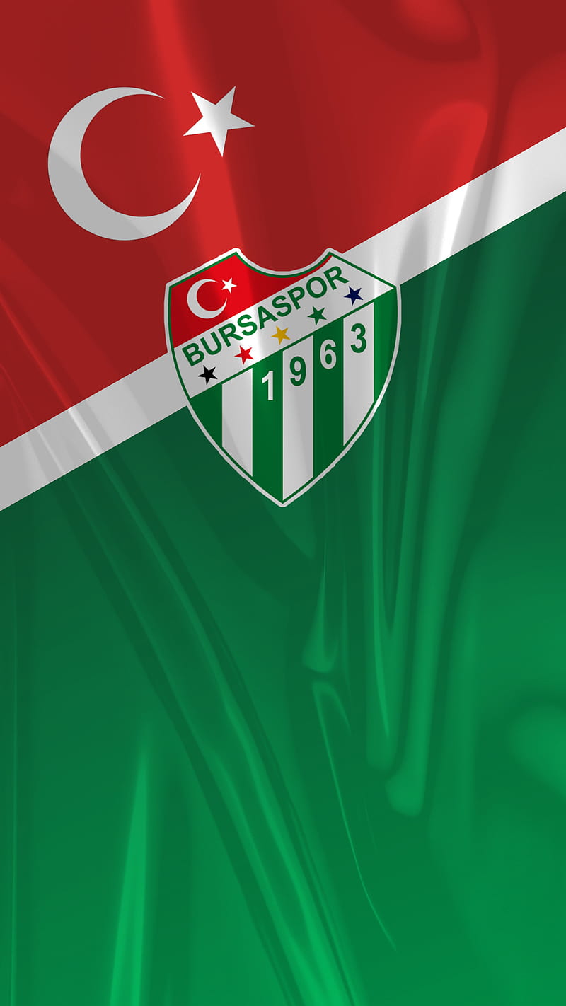 Bursaspor , bursa, bursaspor, crocodile, football, green, teksas, timsah, white, HD phone wallpaper