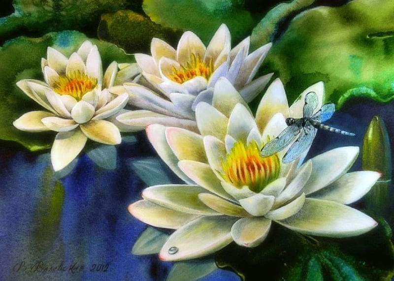 ✼White Lilies✼, lotus pads, lotus, softness beauty, bonito, seasons, paintings, flowers, lovely flowers, lovely, colors, love four seasons, lilies, creative pre-made, macro, dragonflies, summer, nature, white, watercolor, HD wallpaper
