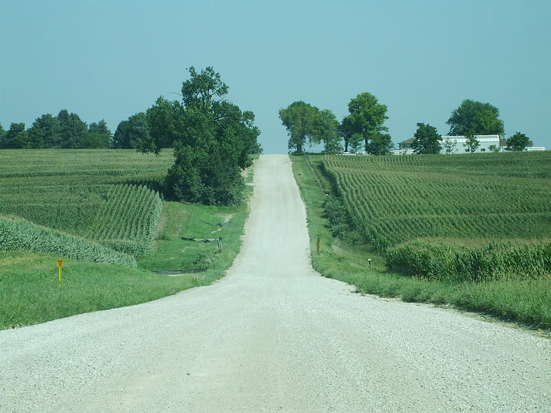 Road to somewhere, nebraska, fields, gravel, road, HD wallpaper