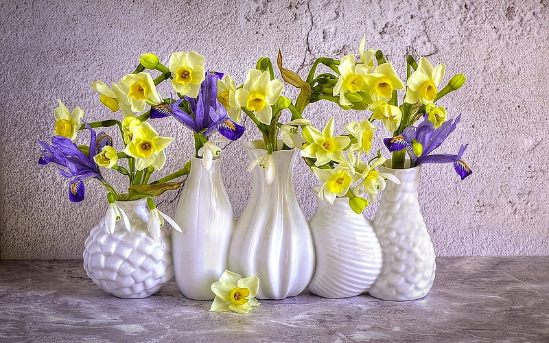 Daffodils and Irises, flowers, irises, vases, daffodils, still life, HD wallpaper
