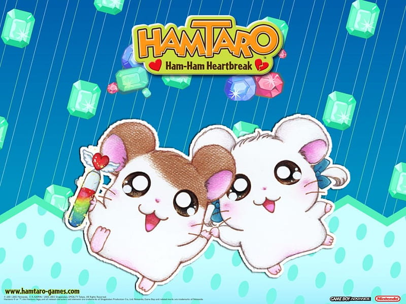 X Hamster Apk Download for Android- Latest version 1.0- hamtaro