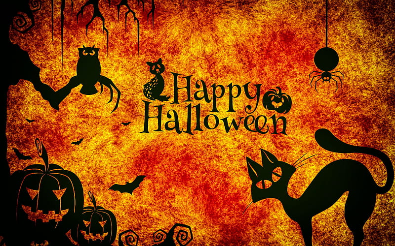 Halloween, October 31, creative background, pumpkins, black cat, spiders, HD wallpaper