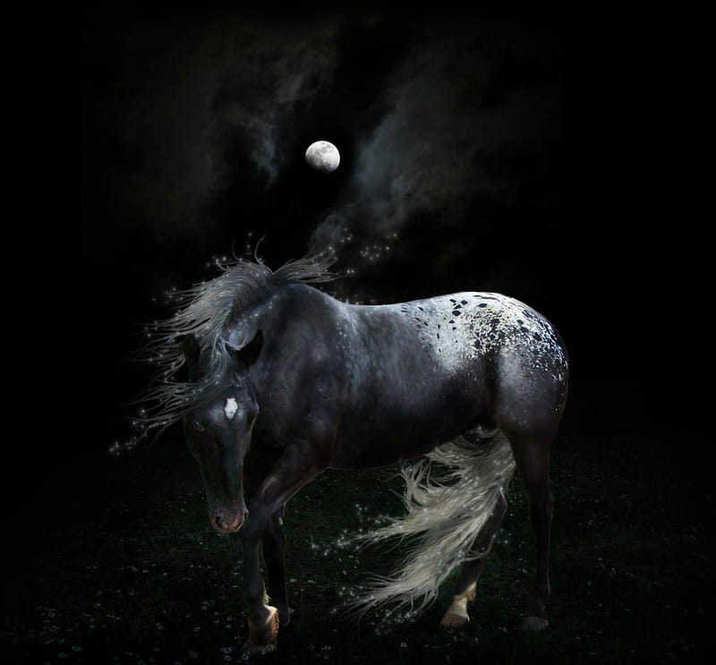 Catch A Fallen, fantasy, moon, appaloosa, horses, night, HD