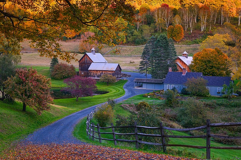 Tree, Fall, House, Street, Farm, Barn, HD wallpaper | Peakpx