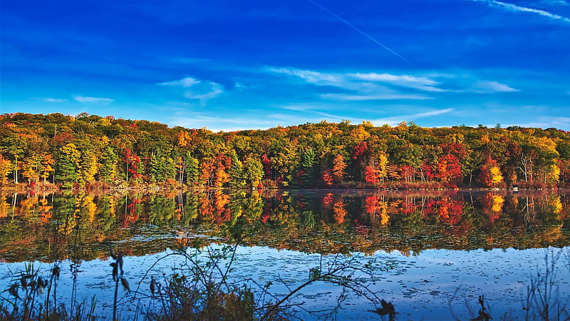 Fall Colors in Harriman State Park, NY, leaves, clouds, autumn, trees