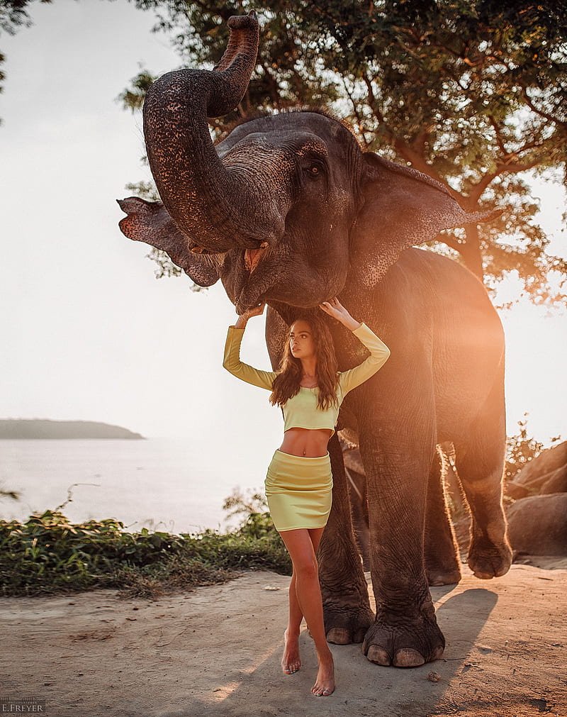 elephant, Evgeny Freyer, animals, women, model, yellow clothing, pointed toes, HD phone wallpaper