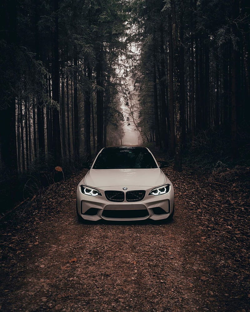 BMW M2, bmw, car, coupe, f87, forest, m power, m2, nature, trees, vehicle, HD phone wallpaper