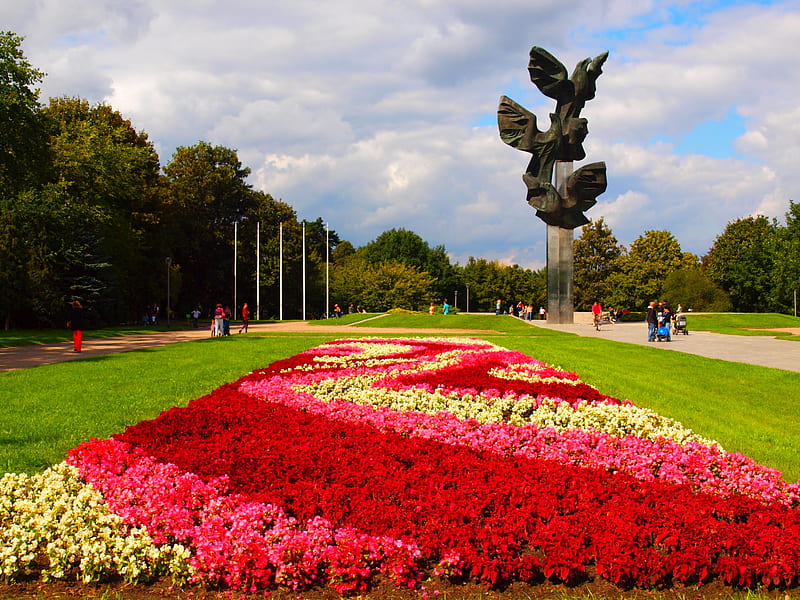 Jasne Błonia, flowers, szczecin, park, kwiaty, HD wallpaper